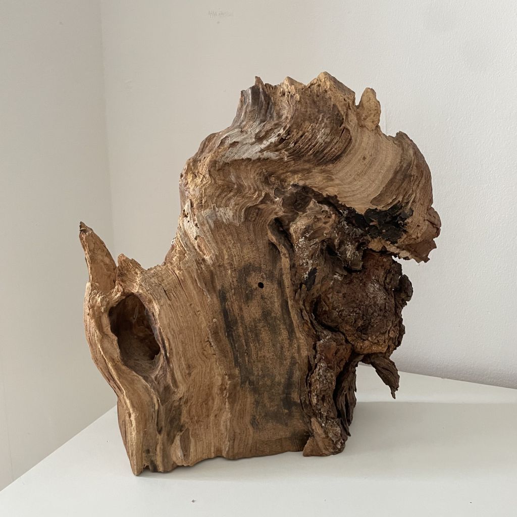 Scultura Materica in Legno Fossile
