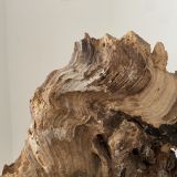Scultura Materica in Legno Fossile - immagine 4