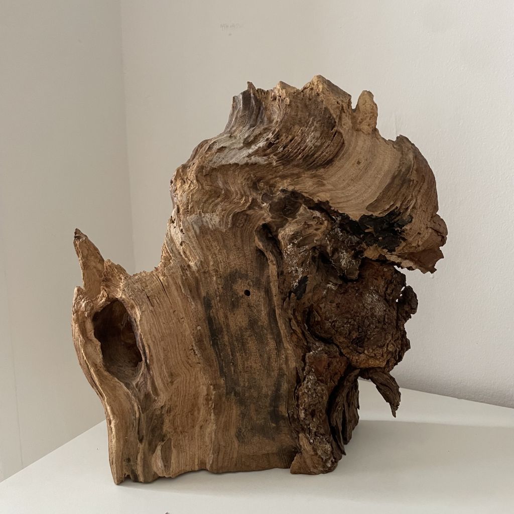 Scultura Materica in Legno Fossile