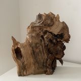 Scultura Materica in Legno Fossile - immagine 6