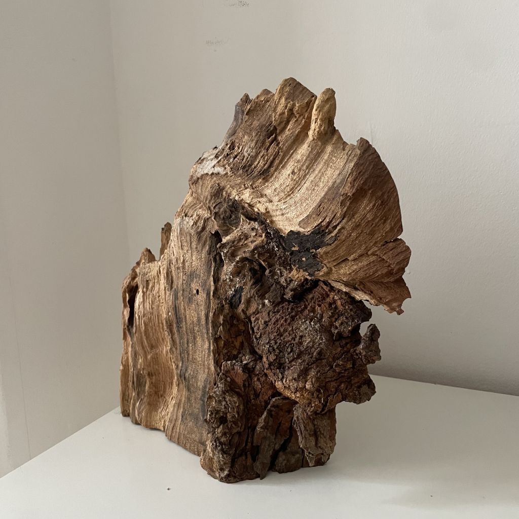 Scultura Materica in Legno Fossile
