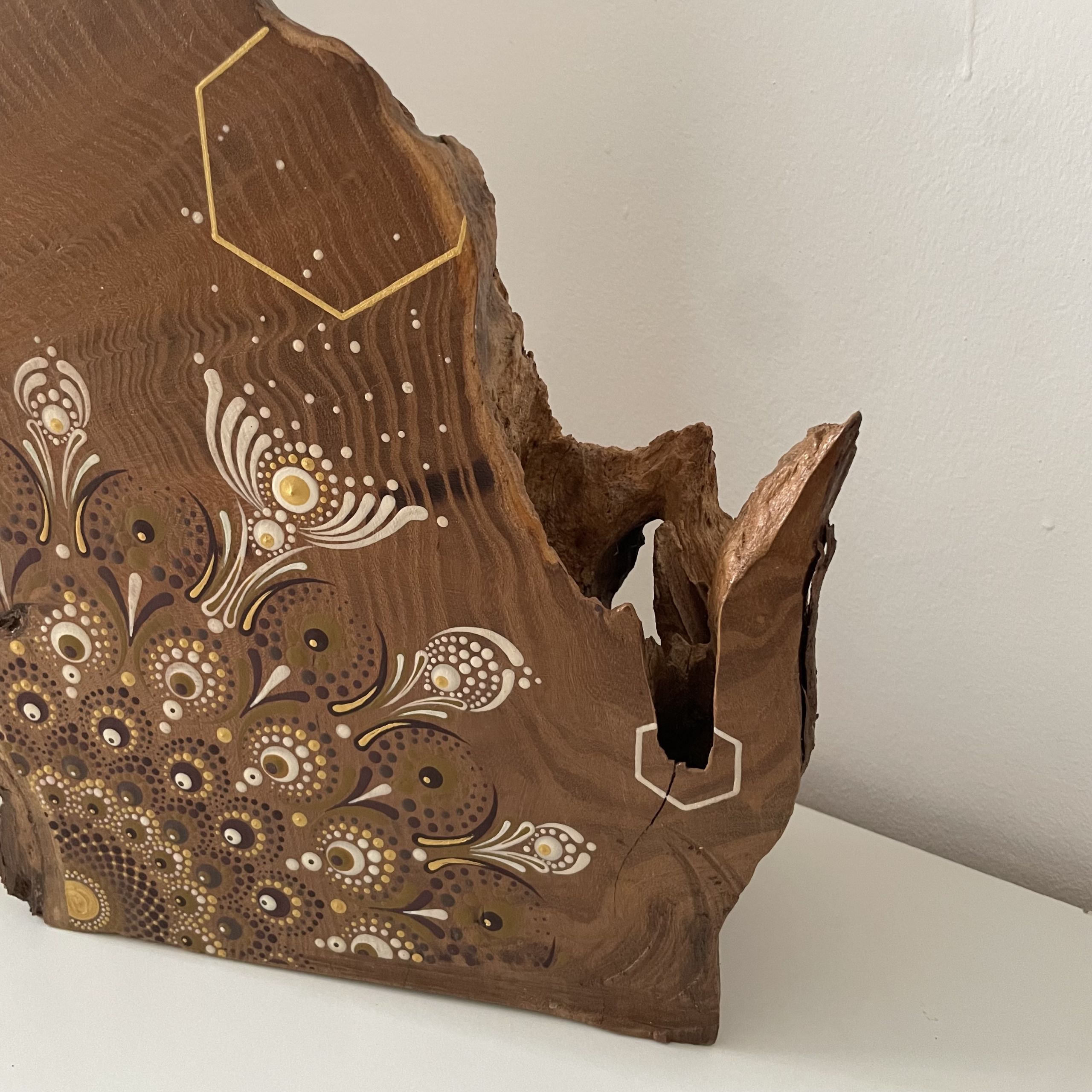 Scultura Materica in Legno Fossile - immagine 10